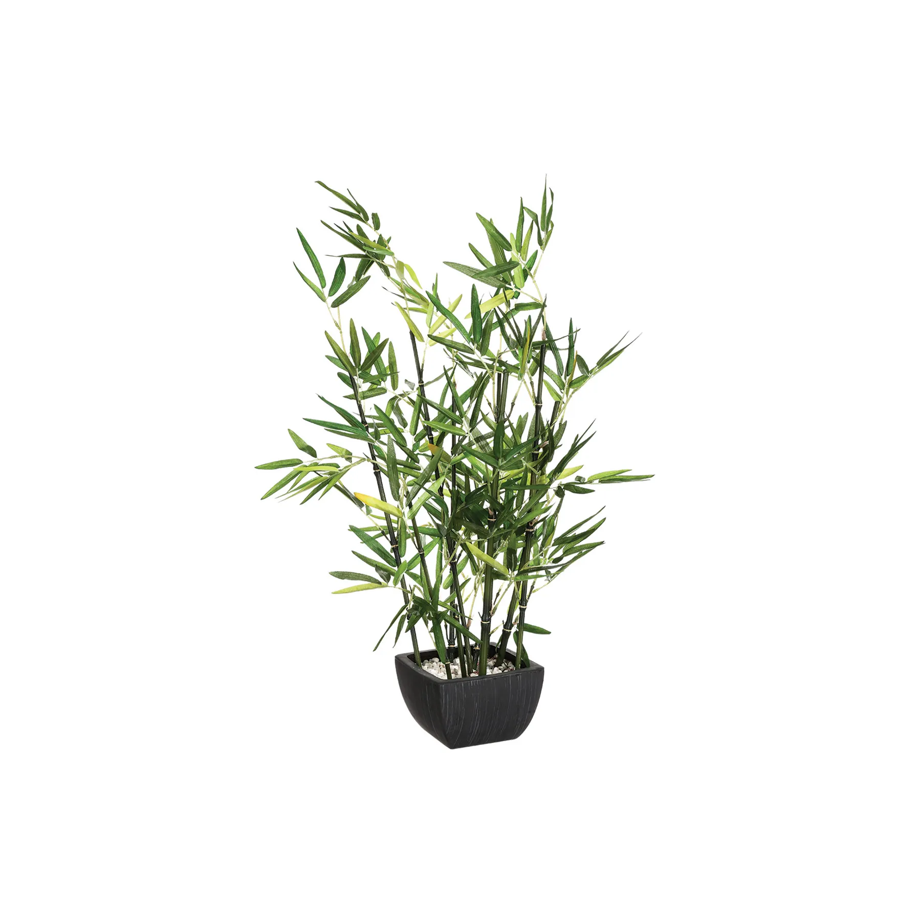 109591 BAMBOO WITH POT H70