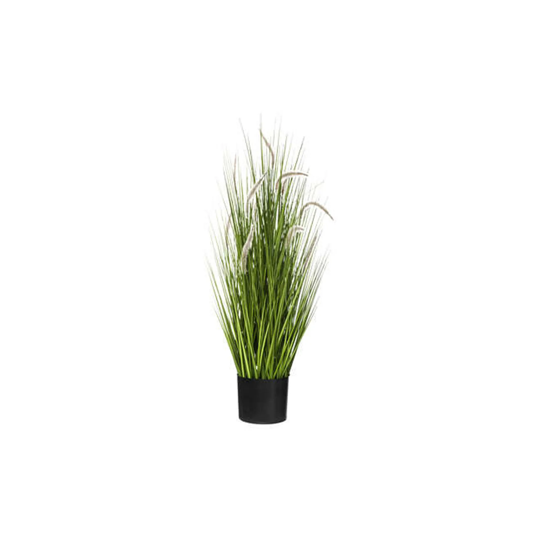 GRASS BUNCH W CAT TAILS H100MARQUE : ATMOSPHERA