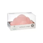 10 PIECES 60X60CM TRAINING PAD