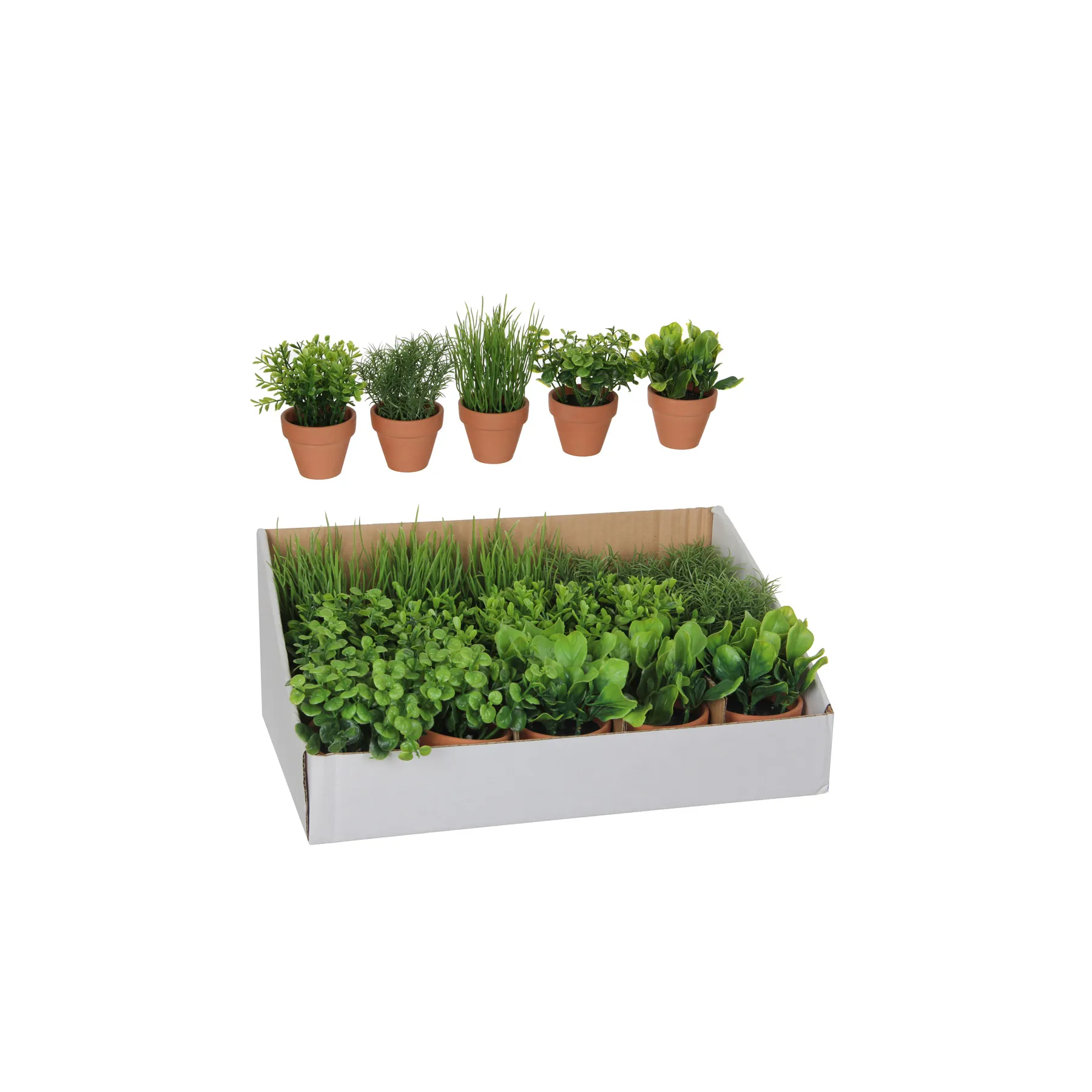 HERB IN POT GREEN H18xD7