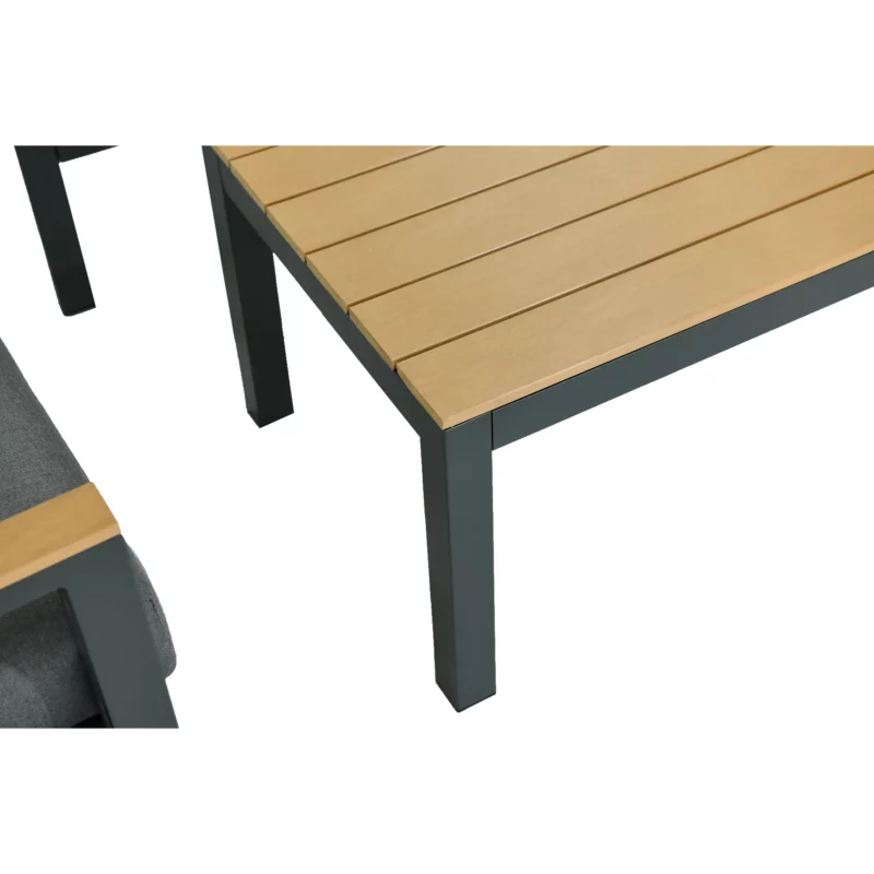 AG22001-2S1S1SCT-4 OUTDOOR LNG ALUMNM D.GREY+TEAK
