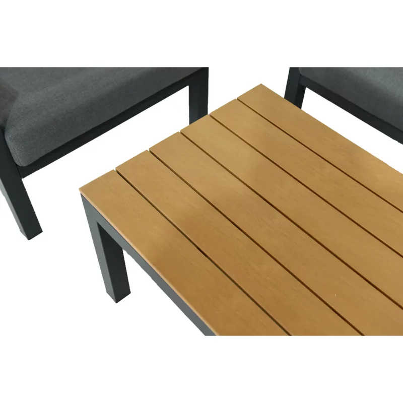 AG22001-2S1S1SCT-9 OUTDOOR LNG ALUMNM D.GREY+TEAK