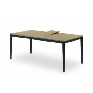 Adam Ext Table