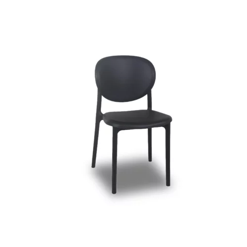 PP-895-BLACK-1 ASTER Chair Home