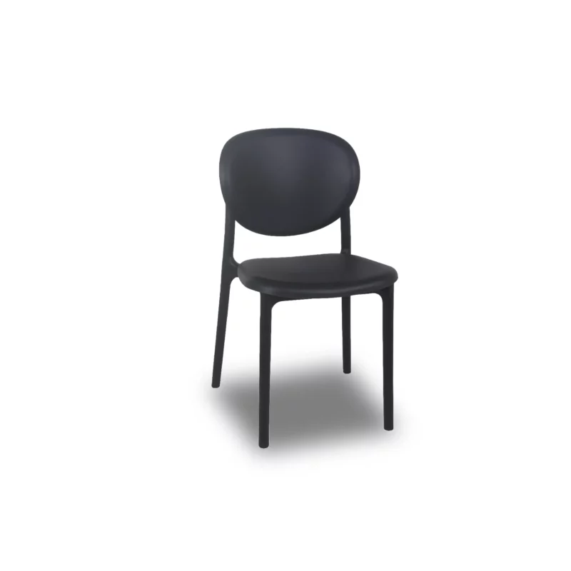 PP-895-BLACK-1 ASTER Chair Home