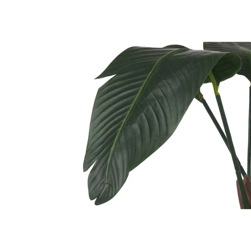 120CM SMALL STRELICIA WITH POT