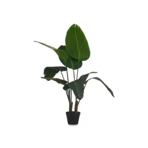 120CM SMALL STRELICIA WITH POT