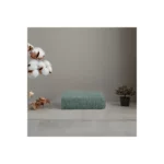 10 PIECES 60X60CM TRAINING PAD