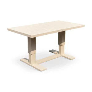 RENALO 3S+1S+1S+CT MOCA