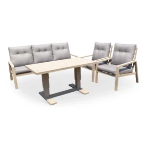 RENALO 3S+1S+1S+CT MOCA