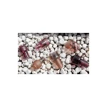 Utensils Steel Handle Set