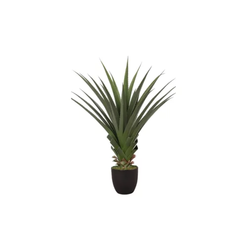 AGAVE FLOWER PVC GREEN BLK CMN