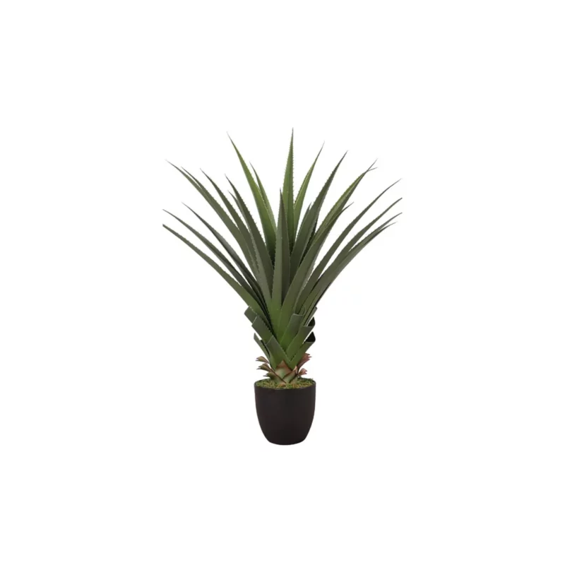 AGAVE FLOWER PVC GREEN BLK CMN