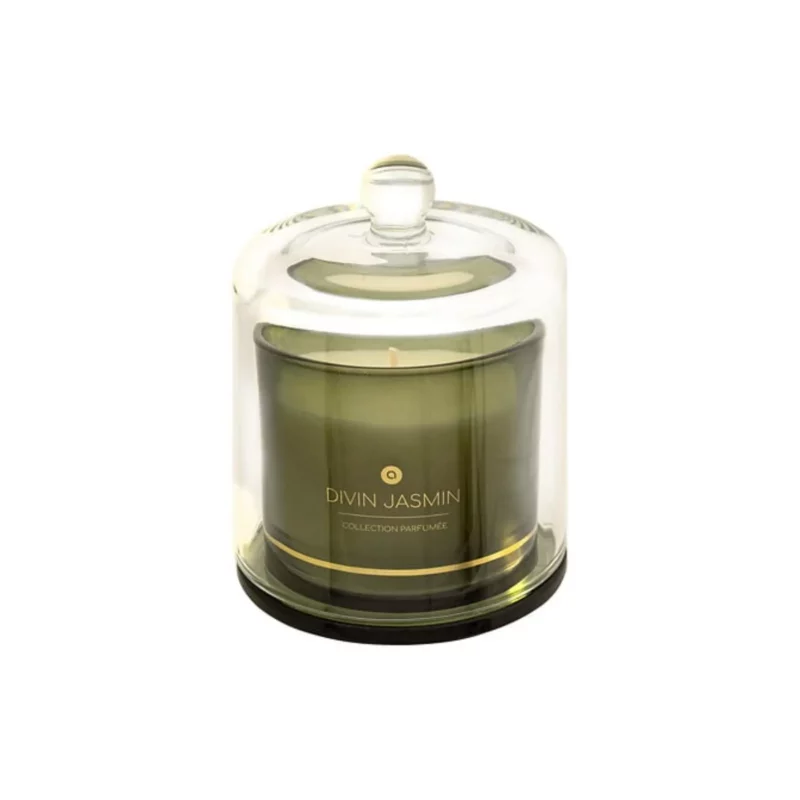 ILAE JASMINE GLS DM CNDL 240G