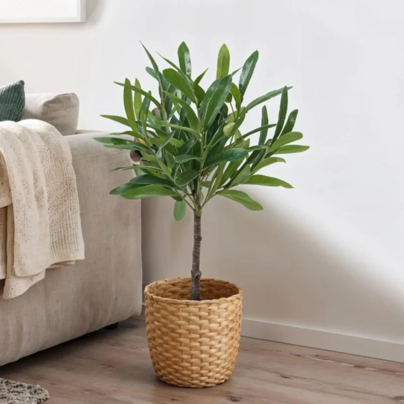 OLIA TREE PVC GREEN PU