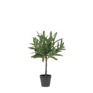 OLIA TREE PVC GREEN PU
