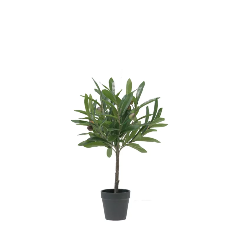 OLIA TREE PVC GREEN PU