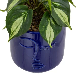198130-3 PLANT FACE CRMC POT SOL