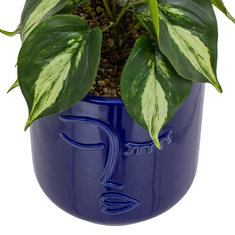 198130-3 PLANT FACE CRMC POT SOL