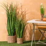 206550-2 Bamboo Plant