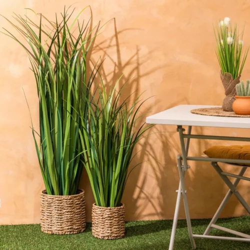 LIN BUNCH W BRAID POT ZYA