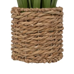 LIN BUNCH W BRAID POT ZYA