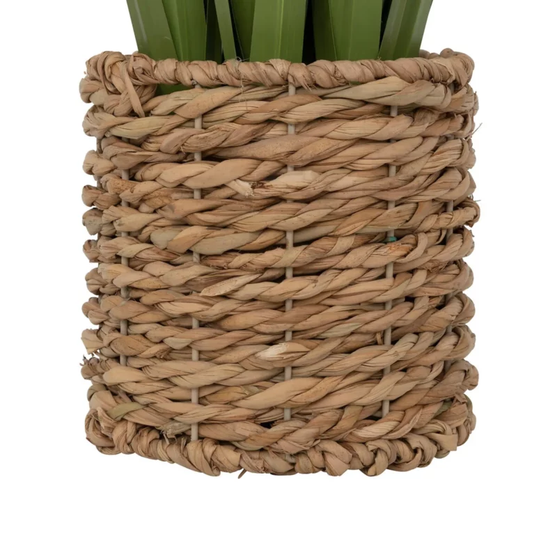 LIN BUNCH W BRAID POT ZYA