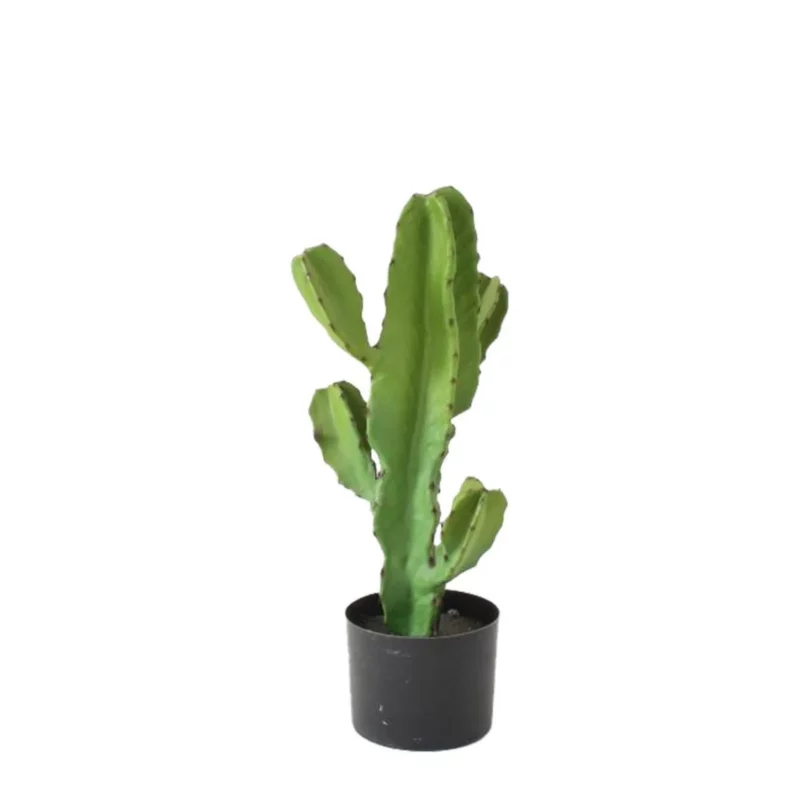 29880 CANDELABRA CACTUS GREEN