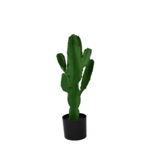 29881 CANDELABRA CACTUS GREEN