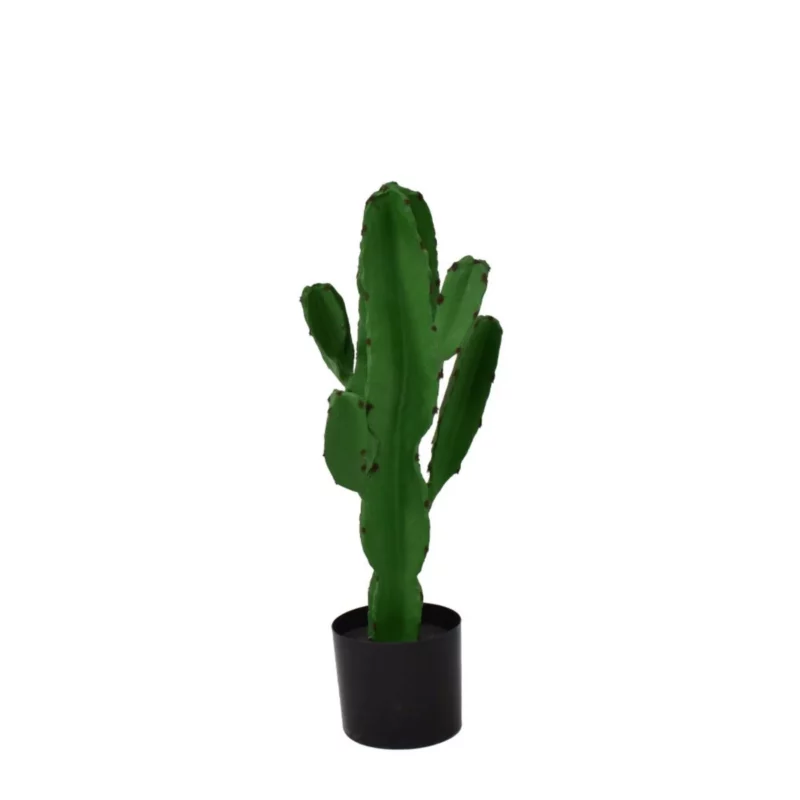 29881 CANDELABRA CACTUS GREEN