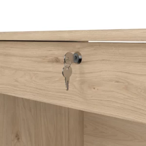 FUNCTION PLUS DESK HICKORY