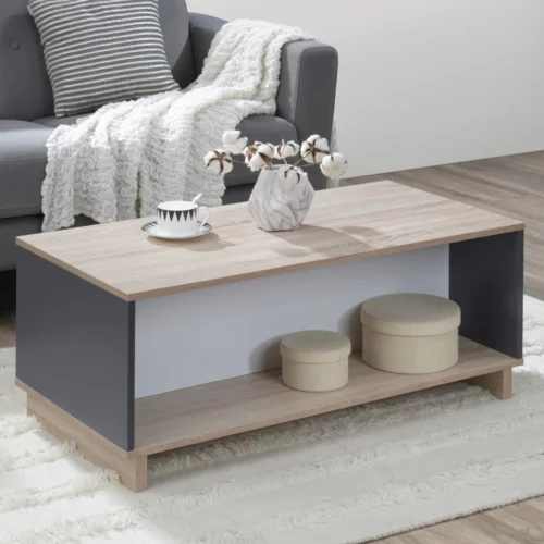 COFFEE TABLE GREY+WHITE+SONOMA