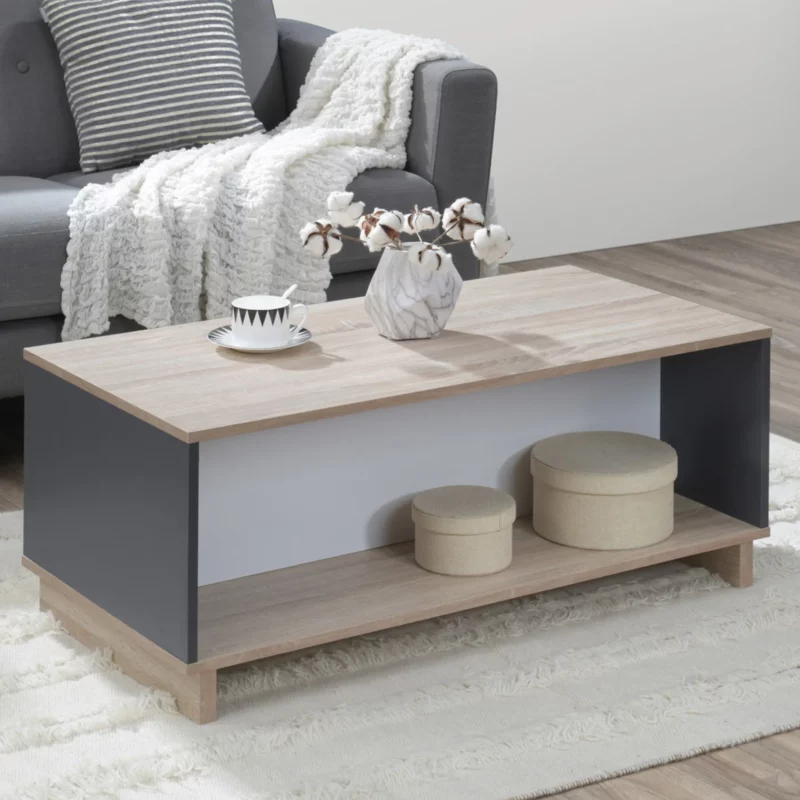 COFFEE TABLE GREY+WHITE+SONOMA