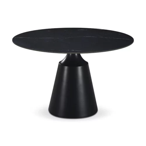 DIVINAL Dining Chair