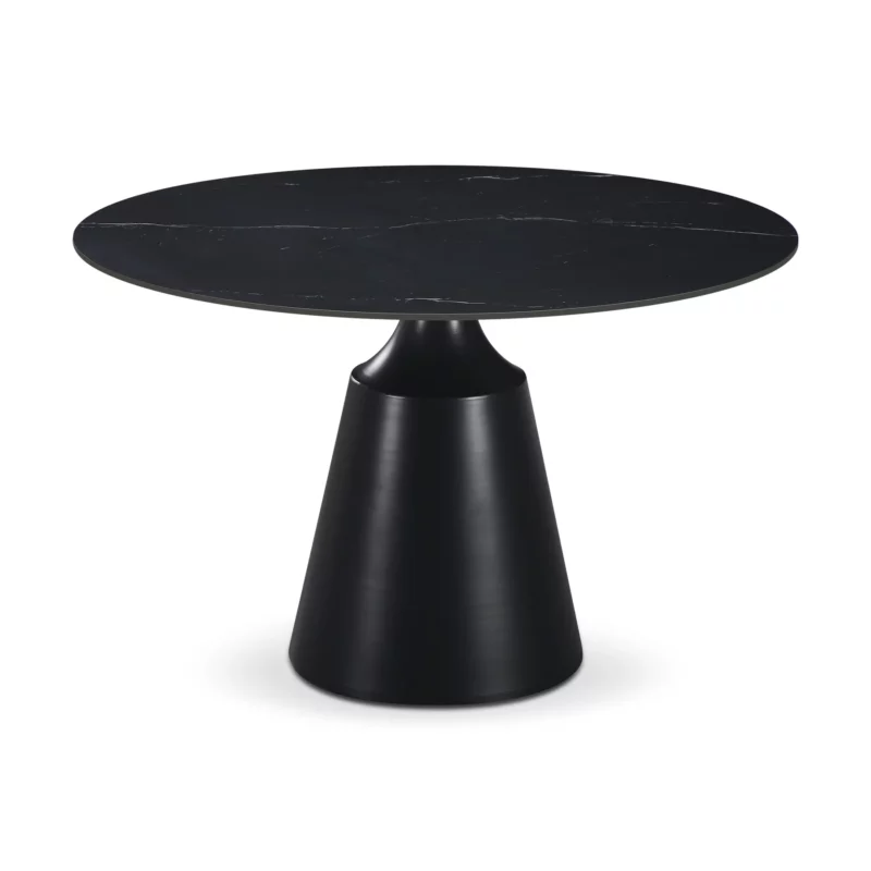 DIVINAL Dining Chair