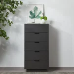 CLOSIA Chest Of Drawer