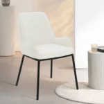 JANOOM Dining Chair