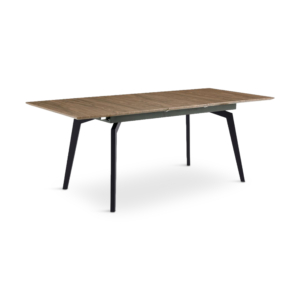Novel Extendable Table