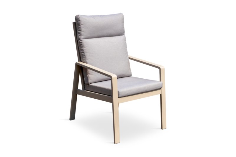 Renalo Dining Chair