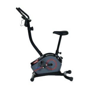 Mag Upright Bike